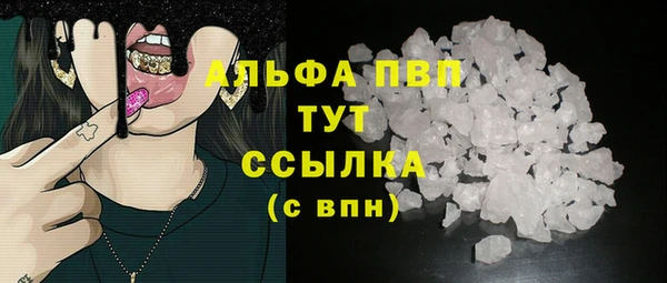 молекула духа Снежногорск