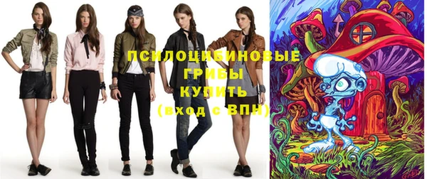 spice Снежинск