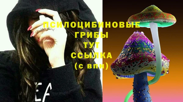 соль ск Верея