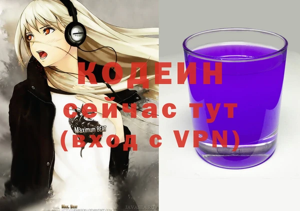 соль ск Верея