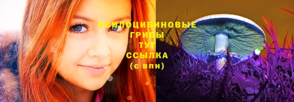 скорость Верхний Тагил