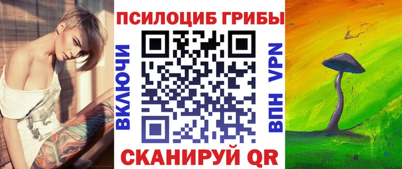 Галлюциногенные грибы Psilocybe  Одинцово 